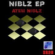 Niblz - ep cover image