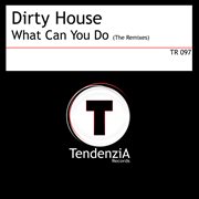 What can you do (the remixes) cover image