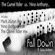 Fall down cover image