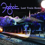 Last train home cover image