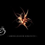 Unreleased gravity cover image