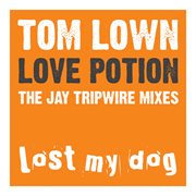 Love potion (the jay tripwire mixes) cover image