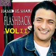 Flash back - vol 2 cover image