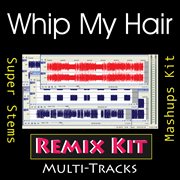 Whip my hair (multi tracks tribute to willow) cover image