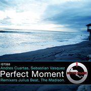 Perfect moment cover image