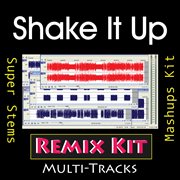 Shake it up (multi tracks tribute to selena gomez) cover image