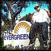 Mr. evergreen cover image