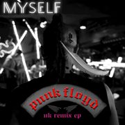 Punk floyd (uk remix e.p) cover image