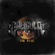 The rise cover image