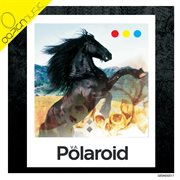 Polaroid cover image