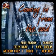 Coming in from the cold riddim cover image