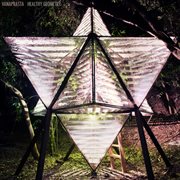 Healthy geometry cover image