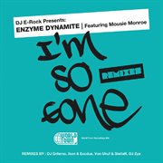 Dj e-rock presents: i'm so gone the remixes cover image