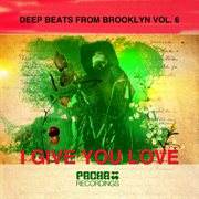 Deep beats from brooklyn, vol. 6 cover image