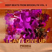 Deep beats from brooklyn, vol. 5 cover image