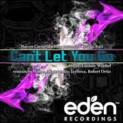 Can't let you go feat. lindsay wrobel cover image