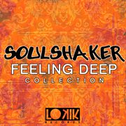 Soulshaker - feeling deep collection cover image