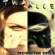 Destructive soul's cover image