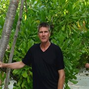 Immigrant2dk cover image