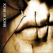Ruckus / brick by brick split cover image