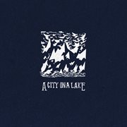 A city on a lake cover image