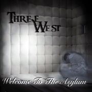 Welcome to the asylum cover image