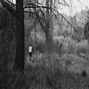 Enshrined cover image