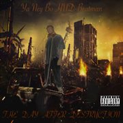 The day after destruction cover image