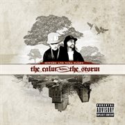 The calm before the storm cover image
