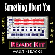 Something about you (remix kit) cover image