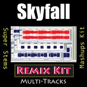 Skyfall (multi tracks tribute to adele) cover image