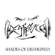 Shades of destr0yed (original mix) cover image