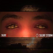 Silent storm cover image