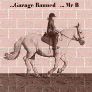Garage banned cover image