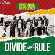 Divide and rule cover image
