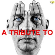 Invincible - a tribute to tinie tempah cover image