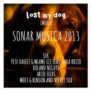 Sonar musica 2013 cover image