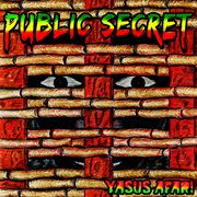 Public secret cover image