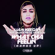 What cha feelin' (hands up) cover image