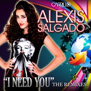 I need you - the remixes cover image
