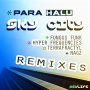 Sky city (remixes) cover image