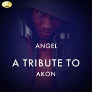 Angel - a tribute to akon cover image