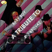 Baby boy - a tribute to big brovaz cover image