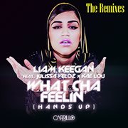 What cha feelin' (the remixes) [feat. julissa veloz, kae lou] cover image