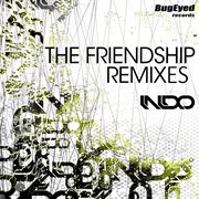 The friendship remixes cover image