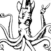 Squid cover image
