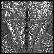 Decomposition fantasy cover image