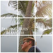 Parting skies - single cover image