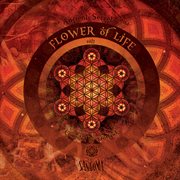 The ancient secret of the flower of life (extended version) cover image