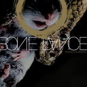 Snakecharmers cover image